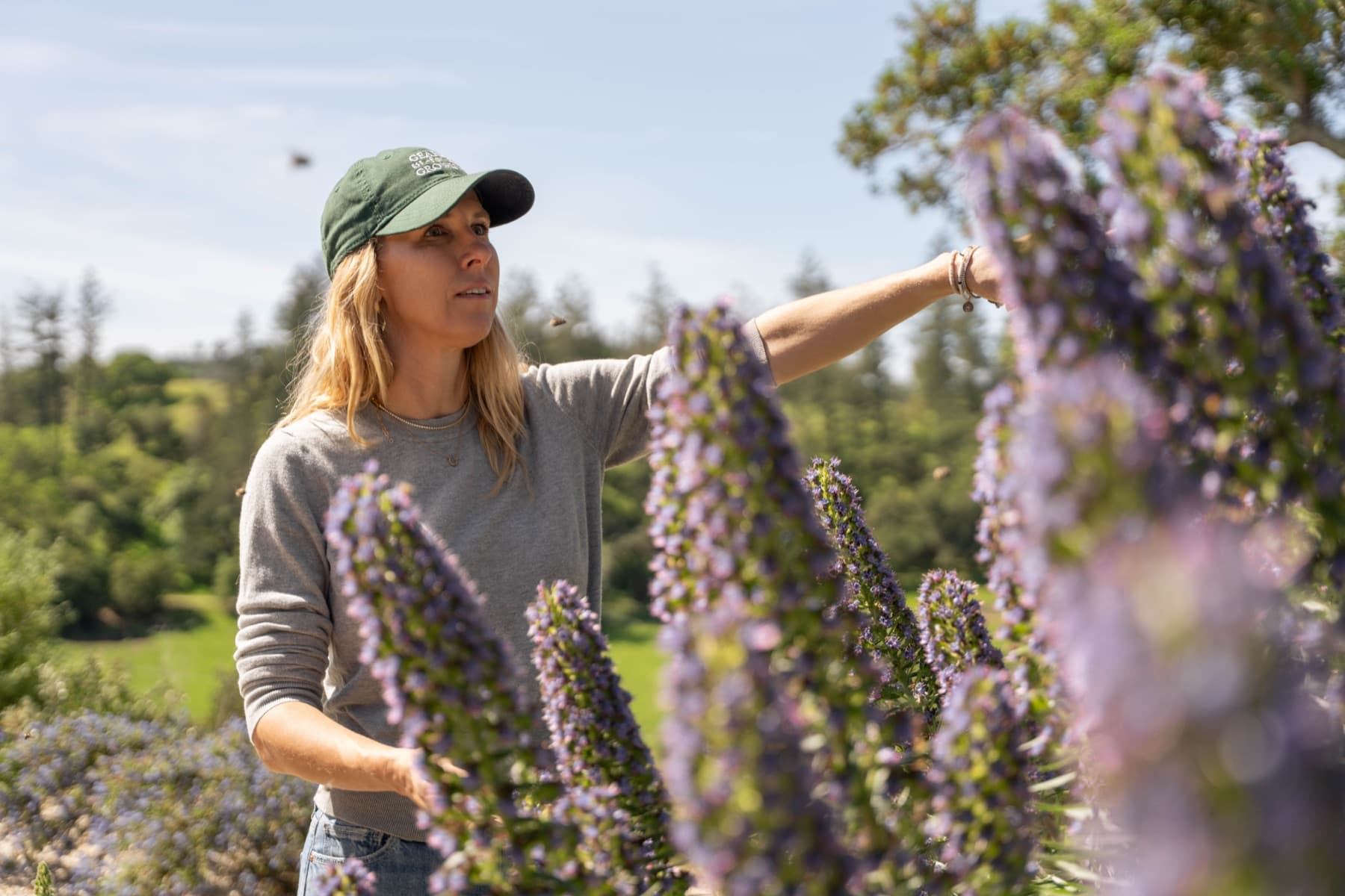 Megan Mokri inspecting flowering plants in a Sonoma County landscape